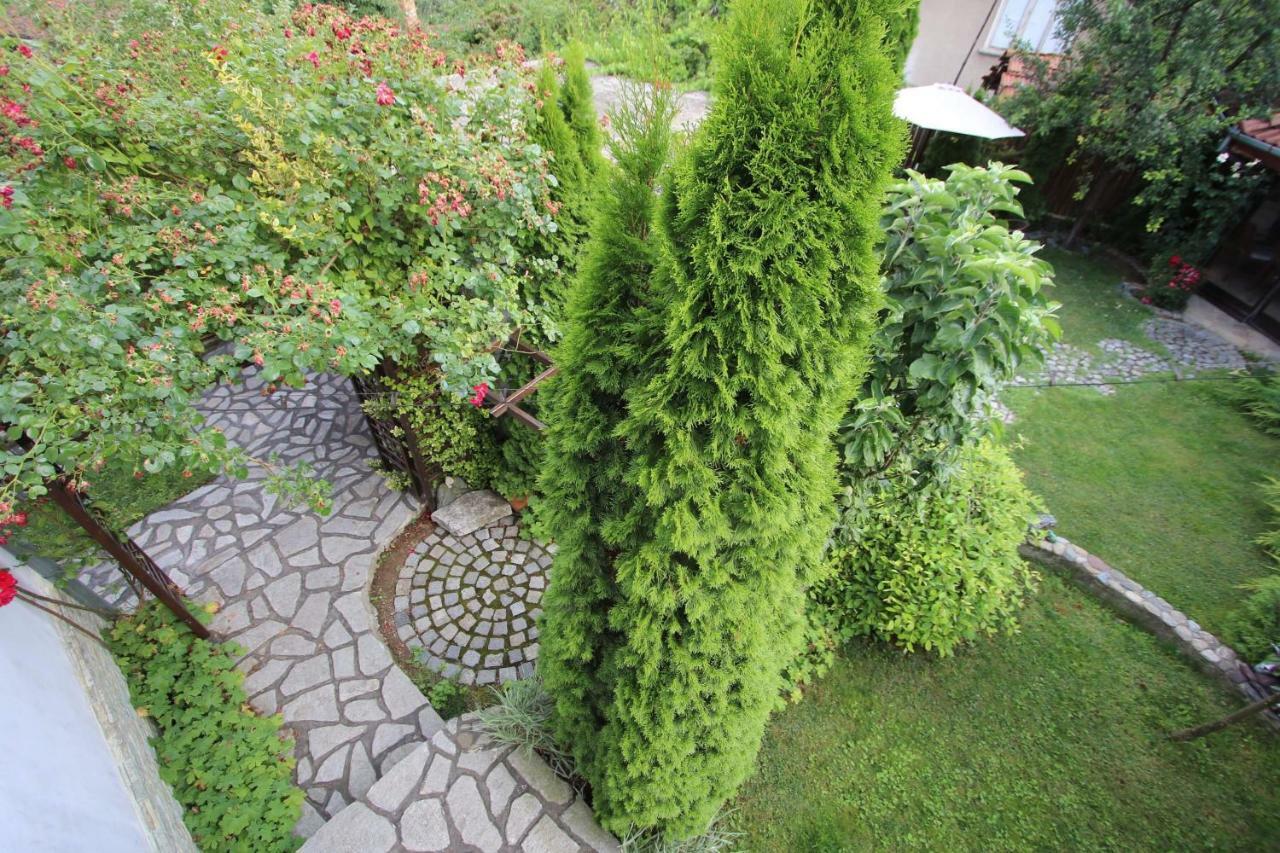 Къща За Гости Джая Belogradtjik Exteriör bild
